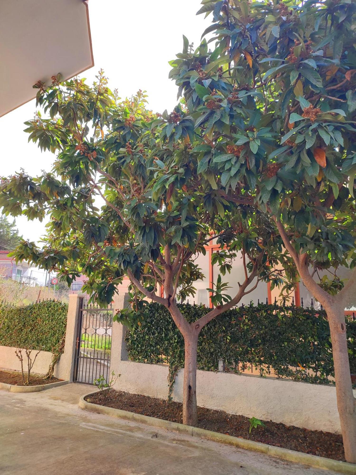 גולם Bp Beach Apartments מראה חיצוני תמונה
